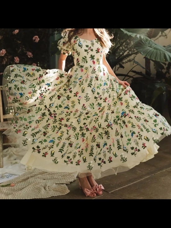 Ivy City Co Dresses & Skirts - Ivy City Co Amora Dress Multicolor Floral Embroidered Tulle Prom Formal Gown NEW